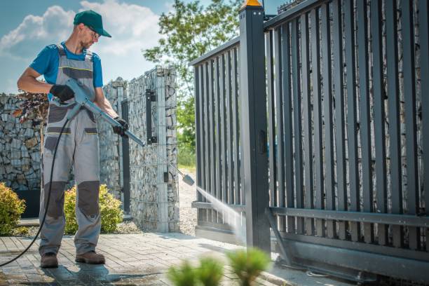 Best Graffiti Removal  in Crowley Lake, CA